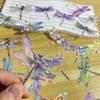 Transparent Laser Shining Dragonfly Stickers Waterproof Decals For Phone Laptop Water Bottle Room Decoration Sticker