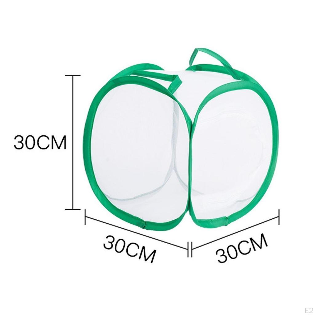 Klatka do łapania motyli Pudełko do uprawy sadzonek do ogrodu zewnętrznego na podwórko
