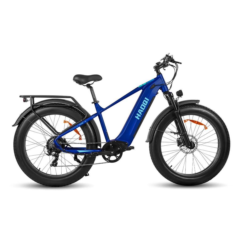 HAOQI Eagle 2.0 Step Over All-Terrain Adult Electric Bike 48V20Ah Battery 250W Motor Electric Bicycle  26 Inch Off-Road Tires E-Mountian Bike