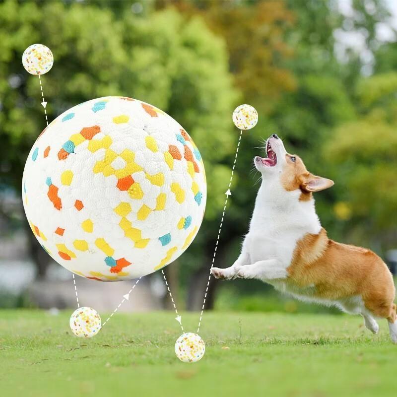 Junchu ETPU High-Bounce Dog Chew Ball