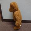 [USED] First Teddy Bear Plush Toy