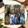 Huse pentru telefoane – Huse tip bumper pentru telefon