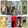 Galgo Greyhound Dog Phone Case for Samsung A51 A71 A21S A17 A11 A15 A25 A41 A23 A33 A53 A73 A07 A03S A05S A13 A35 A55 5G Cover