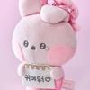 BT21 minini RIBBONED U Edition I LOVE YOU Message Book Plush Key Ring