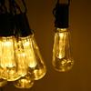 Garland Of Solar Garden Lights 10 Led Decorative Bulbs