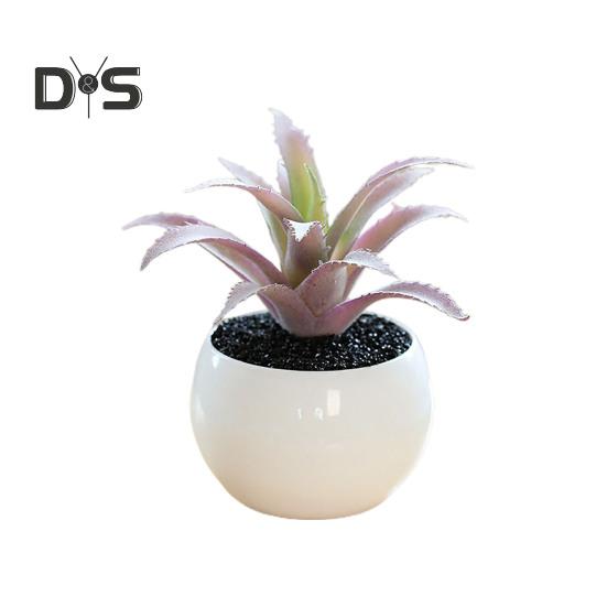 Plante succulente artificielle en plastique, Anti-décoloration, belle petite plante en pot, ornement de Table