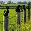 1 Stück Metall-Gartenstecker mit schwarzer Katze – Dekorative Stecker für den Außenbereich | Tierstatuen in Silhouette für den Garten | Stilvolle Gartendekoration aus Metall