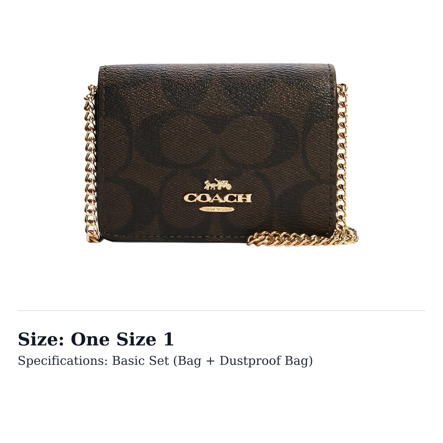 COACH Chain Canvas With Leather Chain