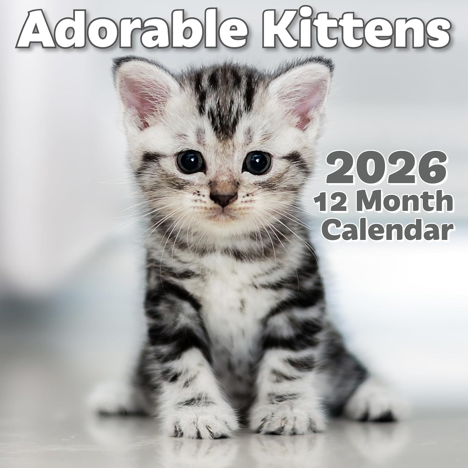 EcoEarth - Biodegradable 11x17 Inch - Open - 12-Month Vertical Hanging Wall Calendar - National Parks - 2026 Monthly Calendar 11x17