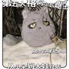 15Cm 40Cm Plush Doll Game Alva Lorenz Hermit Identity V Cosplay Cat Backpack Pendant Keychain Plush  Pillows Dango Birthday Gift