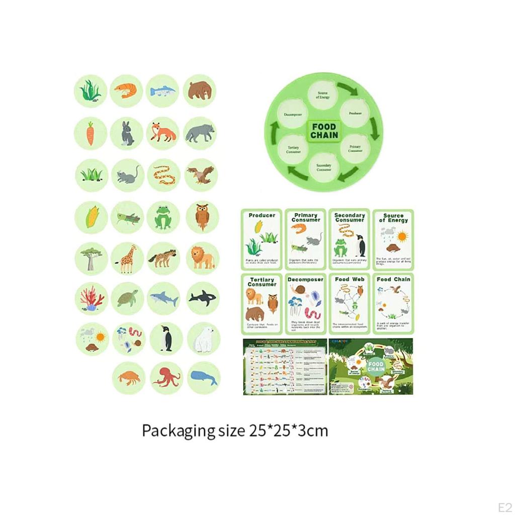 Food Chain Life Cycle Kit Party Favors Science Education Toys Animal Learning Web for 3 4 5 6 7