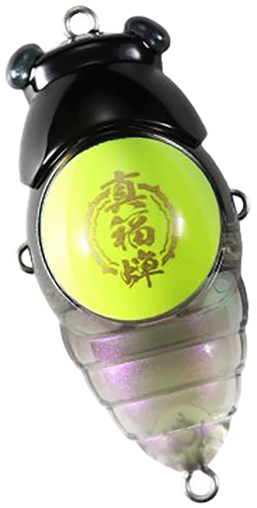 

Duo custom Shinfukusemi CCX4708 Belly Abalone DUO×D-3