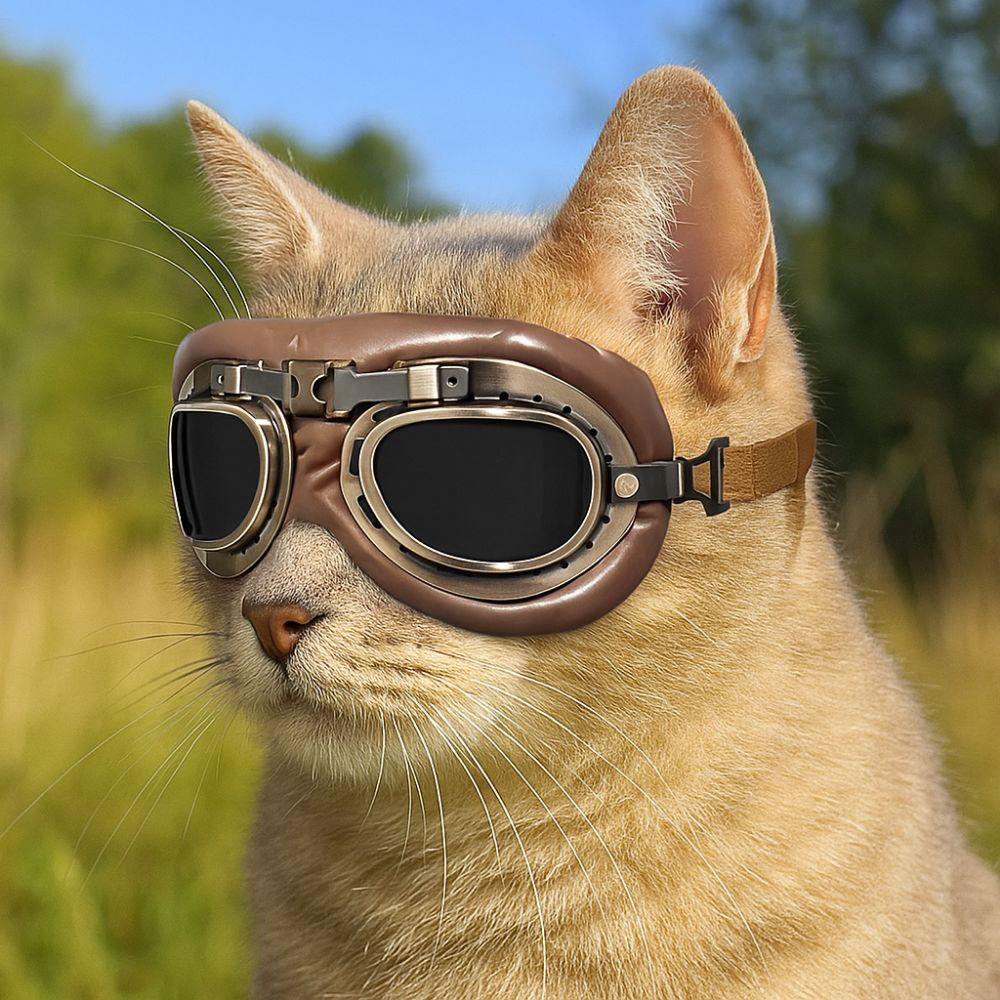 Scratch Resistant Cat Dog Goggles Comfortable Fit Protective Dog Sunglasses  for Dogs Cats