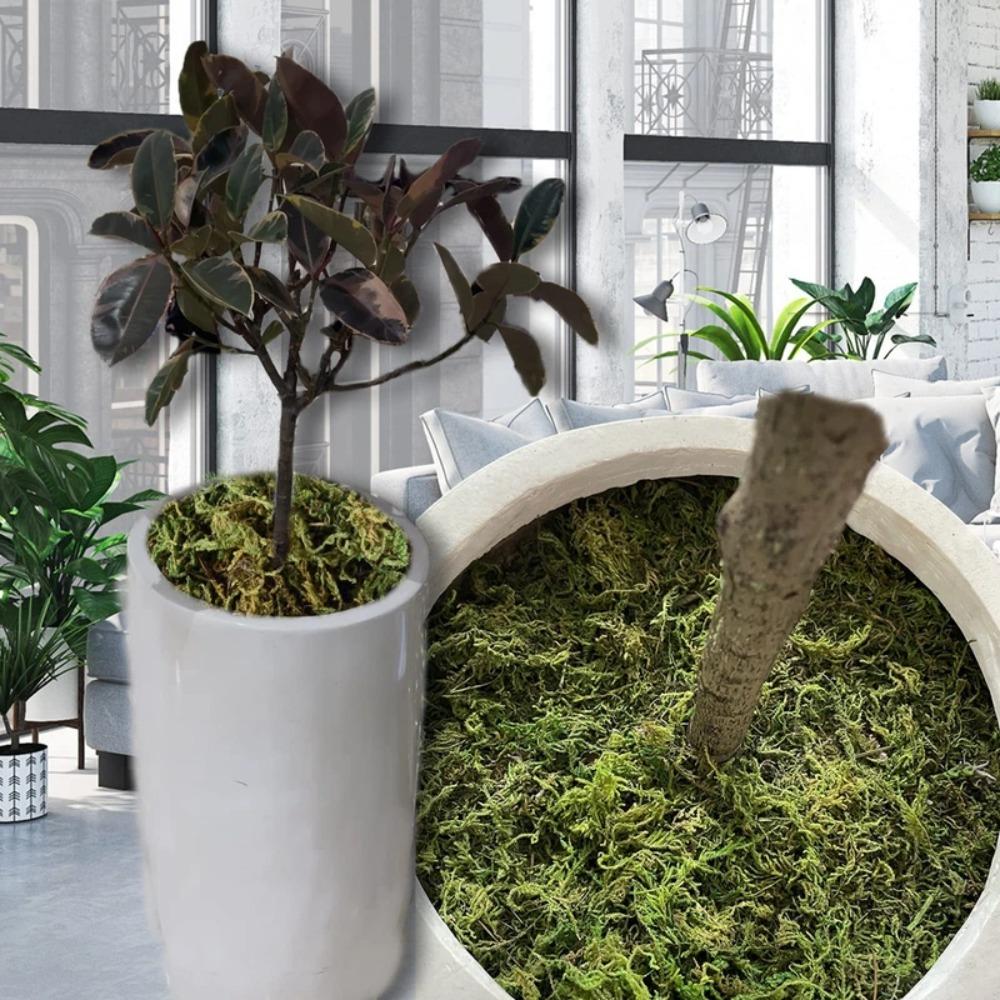Green Fake Moss Durable Polyester Moss Grass Garden Craft Artificial Filamentous Moss  Living Room