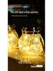 Solar Crackle Glass LED Light for Outdoor Garden, Lawn, Tree, and Fence Hanging Decorations