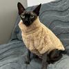 Pet Cat Sweater Home Fur Autumn and Winter Warm Solid Color Soft Arctic Velvet Skincare Suitable for Devonshire Cats, Hairless C