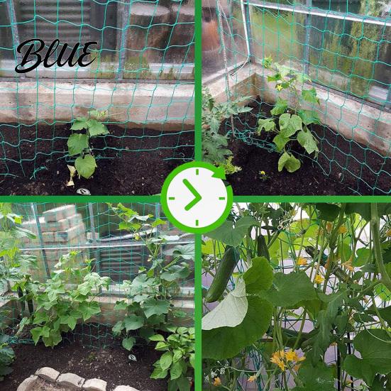 Garden Trellis for Clematis Netting Climbing Plants Heavy Duty Plastic Easy Install Plant Net Netting Support Cucumbers Tomatoes Peas Anti