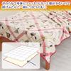 Nishikawa Snoopy Cafe Pattern FQ02505035 Blanket, Single, Washable, Check, Red,