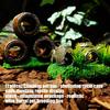 Handcrafted Resins Wine Barrels Hideaways Fish Shelter Reptiles Hide Cave for Reptiles Enclosure Amphibian Habitat
