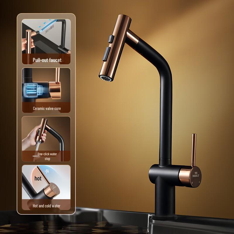 HIGOLD Kitchen Pull-Out Faucet