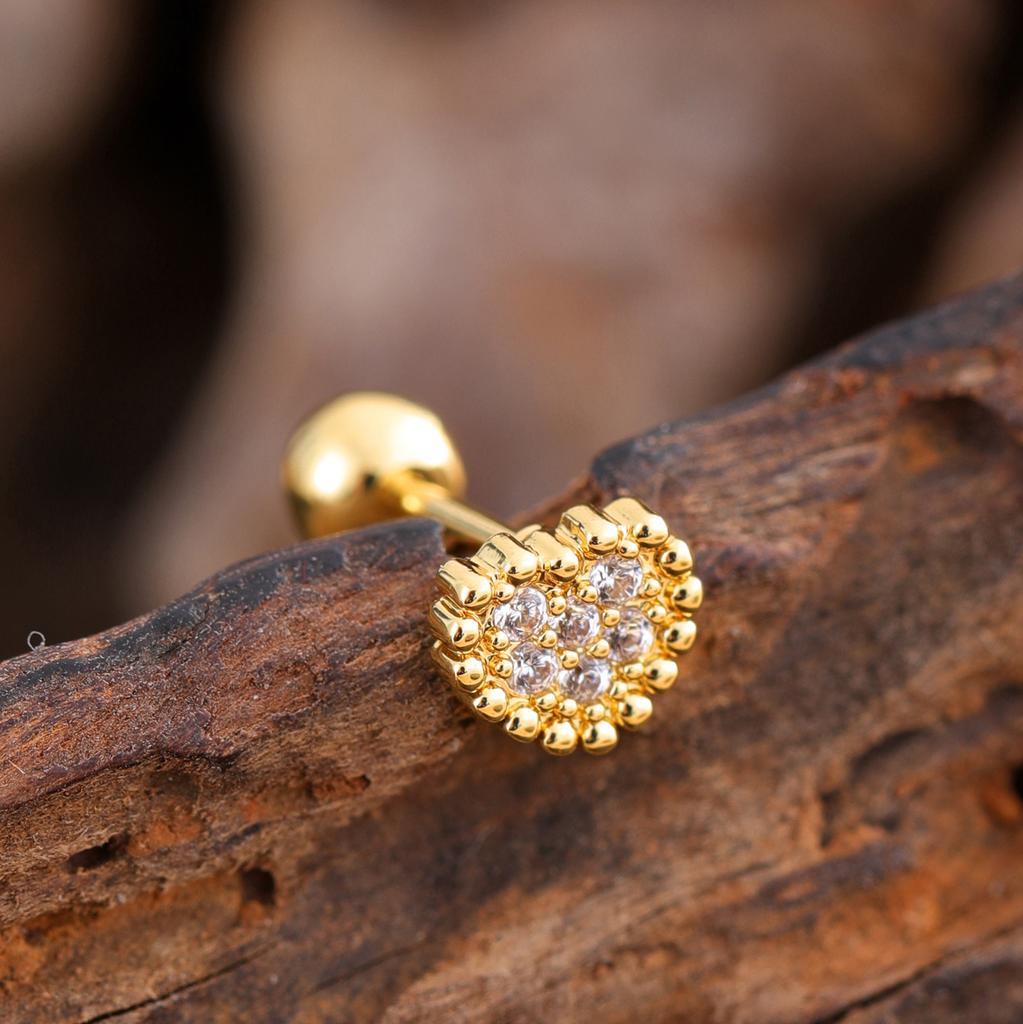 10Pcs/Set 20G Gold Cartilage Earring CZ Tragus Earring Bear Spider Design Helix Stud Rings Conch Ear 316L Steel Piercing Jewelry