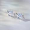 Female Niche Light Luxury Star Earrings