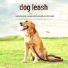 Hand-Woven Eight-Strand Dog Leash and P-Chain Collar for Small, Medium, and Large Dogs