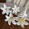 5pcs Elegant Hanging Flower Head Realistic Fake Flowers Artificial EVA Flower Engagement Ceremony