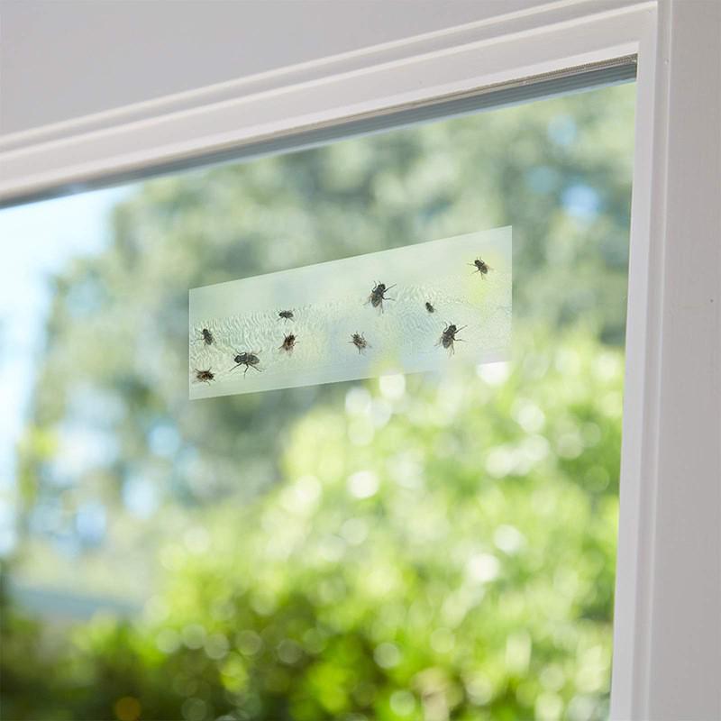 Double-Sided Waterproof Transparent Fly and Insect Sticky Trap Window Sticker
