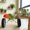 Plastic Parrot Balance Bike Toy Lightweight Birds Intelligence Toy  Cage Accessory