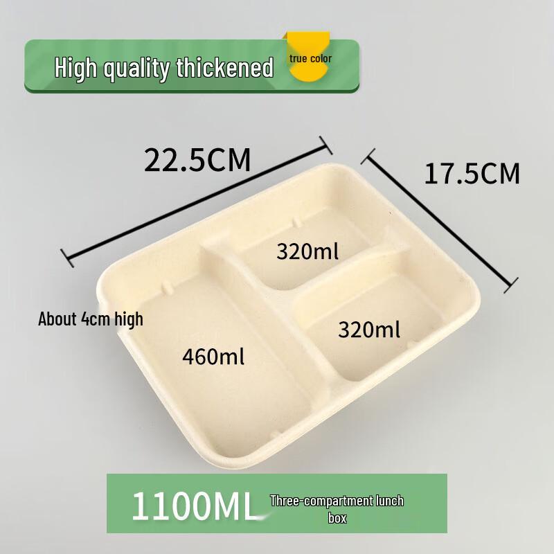 Biodegradable Divided Takeaway Food Container
