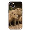 Black tpu Case For Samsung galaxy A3 A5 A7 2016 2017 2018 cover Capybara