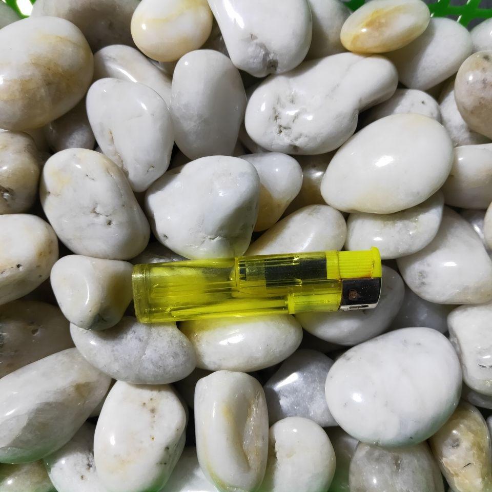 Polished White Natural Pebble Stones for Hydroponics, Fish Tanks, Landscaping, and Balcony Decor