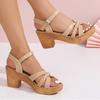 Roman Weaving Thick Heel Sandals Women Ankle Strap Chunky Platform Sandals Woman Summer Buckle