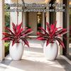 Large Realistic Artificial Fern Dragon's Blood Tree Plants, UV Resistant Fake Ferns with Pink Purple Leaves for Outdoor Garden, Patio, Wedding,