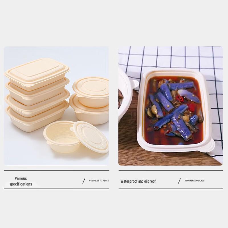 Homeglen Disposable Corn Starch Lunch Box with Lid