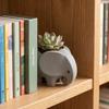 Succulent Planter 3D Printed Elephant Flowerpot Plastic Small Cactus Plant Holder  Home Office