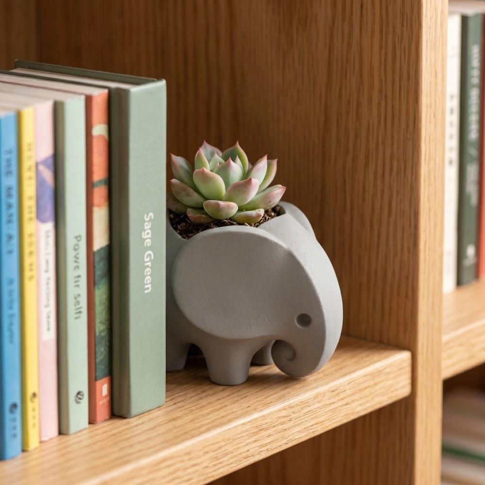 Succulent Planter 3D Printed Elephant Flowerpot Plastic Small Cactus Plant Holder  Home Office