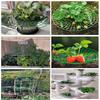 1-3Pcs Green Fruit Plant Support System for Strawberry And Watermelon Easy Setup Garden Protector for Balcony And Raised Bed