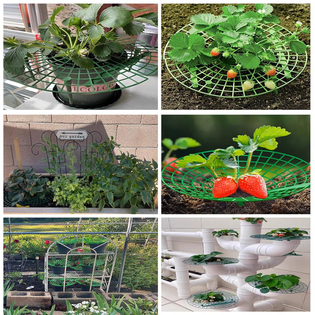 1-3Pcs Green Fruit Plant Support System for Strawberry And Watermelon Easy Setup Garden Protector for Balcony And Raised Bed
