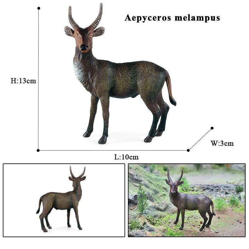 Oenux Clasic Animale de Fermă Simulare Oaie Capră Argali Antilopă Model Figurină de Acțiune Figurine Păsări de Curte Jucărie Drăguță Pentru Copil Cadou