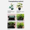 Wandgemonteerde Bloempot Verticale Tuinplanter Zelfwatergevende Wandplanter Set Stapelbare Verticale Bloempotten met Afvoergaatjes