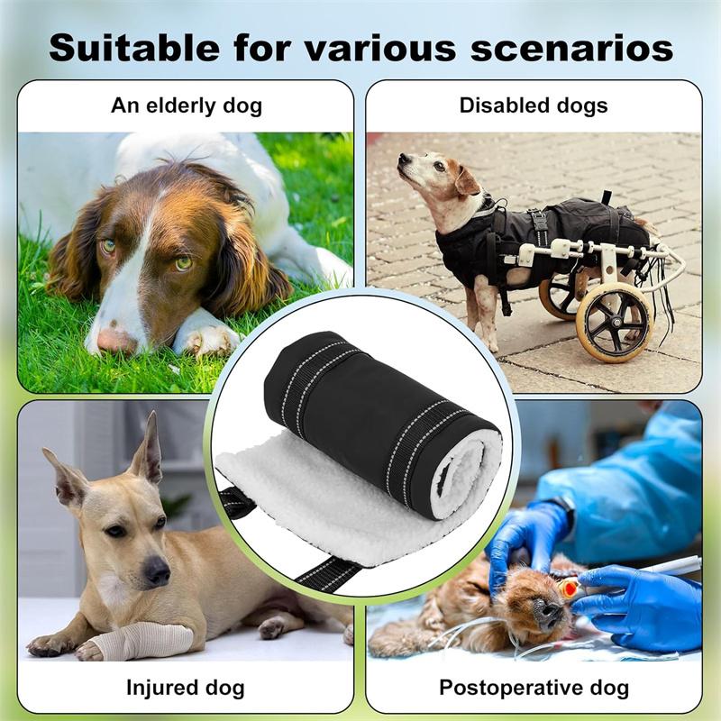 Köpek Kaldırma Tasması Ayarlanabilir Yaşlı Köpek Destek Askısı Arka Bacaklar İçin Köpek Yardımı ve Yaşlı Köpek Bağ Rehabilitasyonu İçin
