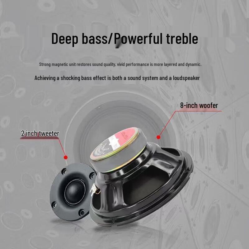 Migeer MG832A Portable Musical Instrument Speaker