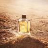 Dadi Men's and Women's Perfume 100ml Long-lasting Light Fragrance Woody Fragrance Neutral Fragrance Temperament Fragrance Boys and Girls