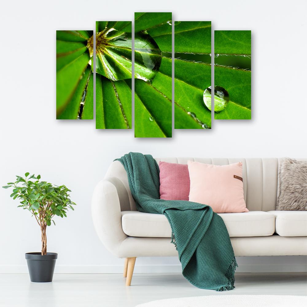 Five Piece Picture Canvas Print Leafy Rosy Drops