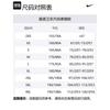 Nike Sb Skate Fleece Hoodie FV7381-104