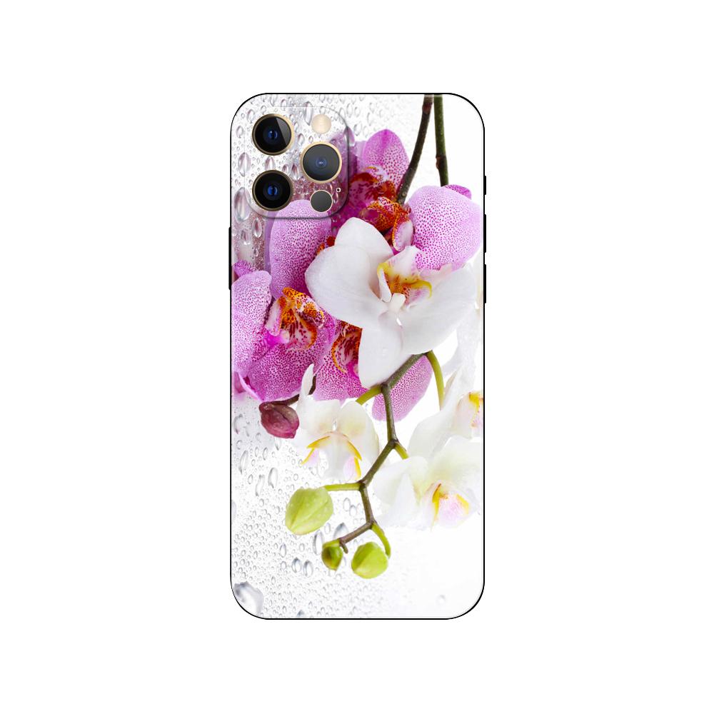 Orchid Flowers Colorful Phone Case for Iphone 5 5s 2020se 6 6s 7 8 Plus X 10 XR XS 11 12 13 Mini Pro MAX Black Tpu Back Cover