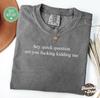 Hey Quick Question Are You Kidding Me Comfort Colors® Shirt, Funny Tshirt Shirt, Funny Girls Minimalist Shirt, Sarcasm Shirt, Trendy Shirt