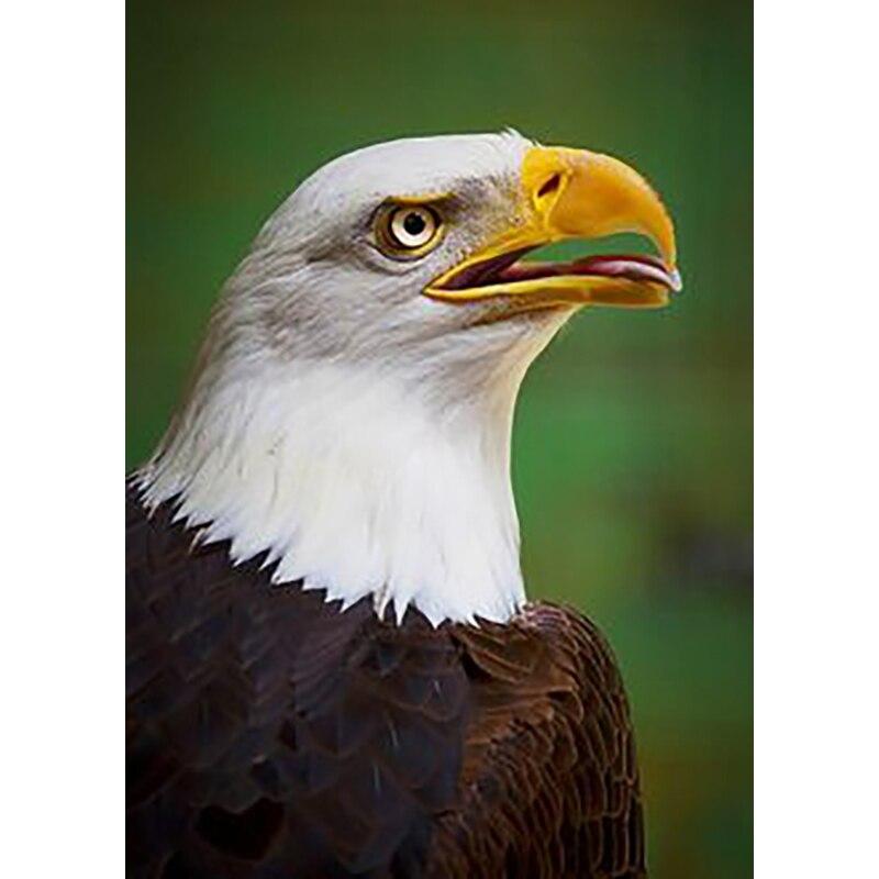 New 5D DIY Diamond Painting Eagle Diamond Embroidery Animals Cross Stitch Full Round Drill Crafts Home Decor Manual Gift